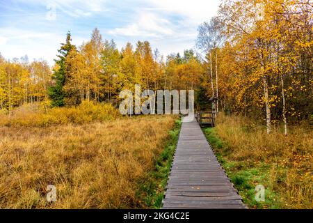 Winter-Entdeckungstour durch die Rhön in der Nähe des Schwarzen Moors - Fladungen - Bayern Stockfoto