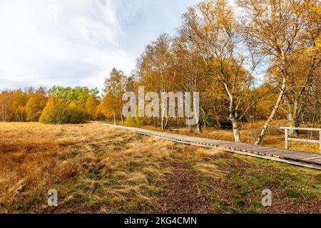 Winter-Entdeckungstour durch die Rhön in der Nähe des Schwarzen Moors - Fladungen - Bayern Stockfoto