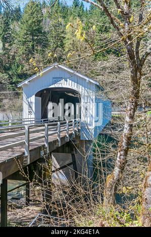 Hendricks Covered Bridge abseits des Highway 126, Lane County Parks auf der Hendricks Park Rd in der Nähe von Springfield, Oregon. Stockfoto