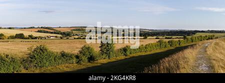 Panoramablick vom Figsbury Ring Salisbury Wiltshire Stockfoto