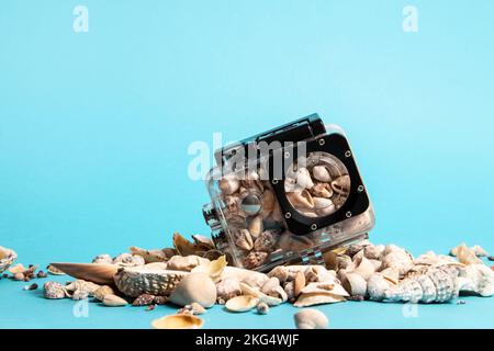 Muscheln in wasserdichtem Kameragehäuse auf blauem Hintergrund. Sommerkonzept. Stockfoto