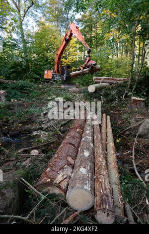 Ilsenburg, Deutschland. 11. Oktober 2022. Gefallene Bäume werden mit schwerem Forstausrüstungen aus dem Ilse-Flussbett gezogen. Deadwood, das im Rahmen der Straßenverkehrssicherheitsmaßnahmen im Bereich der Ilse-Wasserfälle gefällt wurde, wird derzeit aus dem Flussbett der Ilse entfernt, um einen vorbeugenden Hochwasserschutz zu gewährleisten. Die Arbeiten werden voraussichtlich bis November andauern. Das Gebiet des unteren und oberen Ilse-Falls von der Bremer Hütte bis zum Sandtal wird für die Dauer der Arbeiten zum Schutz der Öffentlichkeit vollständig geschlossen. Quelle: Matthias Bein/dpa/Alamy Live News Stockfoto