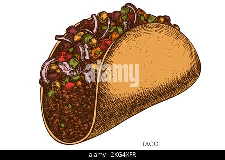 Street Food handgezeichnete Vektor Illustrationen Kollektion. Farbiger Taco. Stock Vektor