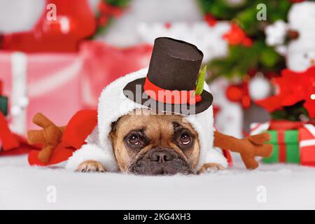 Französischer Bulldog mit lustiger Schneemannmütze und Hut vor der Weihnachtsdekoration Stockfoto