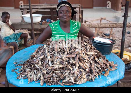 Frau, die gekochten Fisch verkauft, Straßenmarkt, Azove, Couffo, Benin Stockfoto