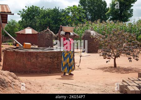 Afrikanischer Hof, Adjahonme, Couffo, Benin, Frau mit Wasser auf dem Kopf, Ziegelei, Schlammhütten, Bäume und Maisernte. Stockfoto