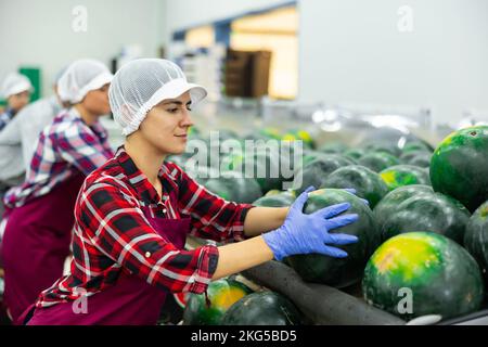 Fröhliche Frau, die Wassermelonen in der Fabrik sortiert Stockfoto