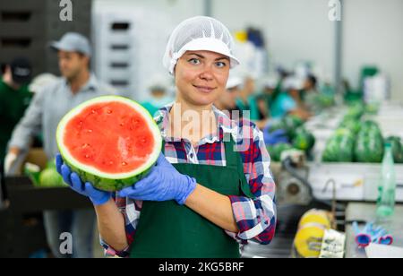 Arbeiterin posiert in der Gemüsefabrik mit der neuen Ernte der organischen Wassermelonen, hält saftige Wassermelone in der Mitte geschnitten Stockfoto