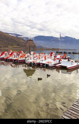 Kaltern, Südtirol, Italien -14. November 2022 Eurasische Kühe (Fulica atra) im Herbst am Caldaro-See, einem natürlichen Badesee mit Tretbootverleih Stockfoto