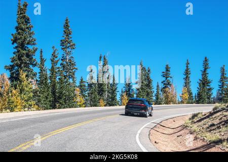 Kreiskurve auf der Bergautobahn mit Pinienbäumen vor der instblue sk Stockfoto