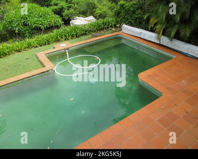 Mit Blick auf einen dreckigen grünen Swimmingpool mit einem Staubsauger umgeben von tropischen Bäumen und mit einer Abdeckung, die auf eine Seite gerollt ist Stockfoto