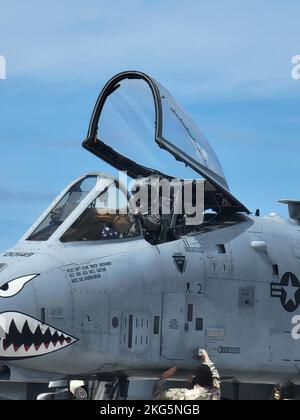 Ein 74. Fighter Generation Squadron A-10C Thunderbolt II Pilot landet und Taxis im Pacific Regional Training Center auf der Andersen Air Force Base, Guam, 4. November 2022. Die Luftwaffe der Luftwaffenbasis Moody wurde in die Region Indo-Pazifik eingesetzt, um eine dynamische Kraftbeschäftigungstätigkeit zu unterstützen, um die Kampfluftkraft in der gesamten Gemeinsamen Streitkräfte zu demonstrieren, damit sie strategisch vorhersehbar bleibt, aber auch operativ in einem sich ständig entwickelnden wettbewerbsorientierten und umkämpften Umfeld unvorhersehbar bleibt. (USA Air Force Foto von Tech. Sgt. Steve Hunt) Stockfoto