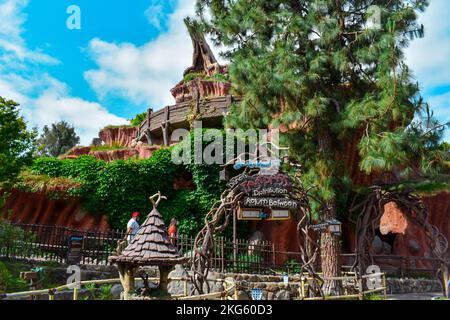 Schild Splash Mountain Fastpass Stockfoto