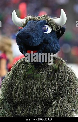 Houston Texas Mascot Toro während des NFL Football Game zwischen den Washington Commanders und den Houston Texans am Sonntag, den 20. November 2022, bei NRG S Stockfoto