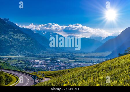 Weinberg in Schweizer Alp Berge, Leuk, Visp, Wallis Wallis Schweiz Stockfoto