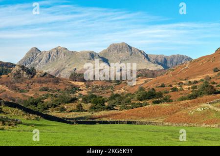 Die Bergkette Langdale Pikes ist von üppigen grünen Feldern im Little Langdale Valley, English Lake District, Cumbria, England, Großbritannien, zu sehen Stockfoto