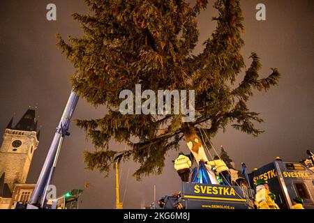 Prag, Tschechische Republik. 22.. November 2022. Am 22. November 2022 installieren Spezialisten den Prager Weihnachtsbaum auf dem Altstädter Ring in Prag, Tschechien. Die Norwegenfichte (Picea abies) ist etwa 25 Meter hoch und 58 Jahre alt. Kredit: Roman Vondrous/CTK Foto/Alamy Live Nachrichten Stockfoto