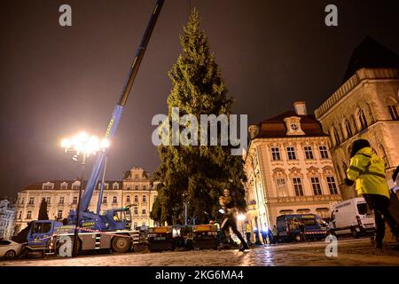 Prag, Tschechische Republik. 22.. November 2022. Am 22. November 2022 installieren Spezialisten den Prager Weihnachtsbaum auf dem Altstädter Ring in Prag, Tschechien. Die Norwegenfichte (Picea abies) ist etwa 25 Meter hoch und 58 Jahre alt. Kredit: Roman Vondrous/CTK Foto/Alamy Live Nachrichten Stockfoto