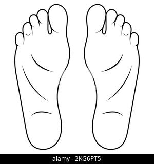 Mann Fuß Zeichnung Cartoon, Schuhgröße Fuß Anatomie menschliche Sohle Stock Vektor