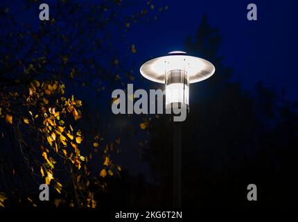 Ein Laternenpfahl beleuchtet eine dunkle Nacht Stockfoto