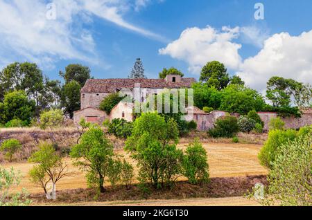 Grünes Weizenfeld im Frühjahr mit Bäumen im Hintergrund, an einem sonnigen Tag mit blauem Himmel und weißen Wolken. Ländliche Landschaft Stockfoto