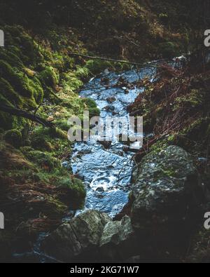 Eine Nahaufnahme eines Grabens, der entlang der felsigen Oberfläche mit Moos fließt Stockfoto