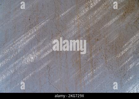 Schattenüberlagerungseffekt für das Foto. Schatten von Baumblättern und tropischen Ästen an einer weißen Wand im Sonnenlicht. Hochwertige Fotos Stockfoto