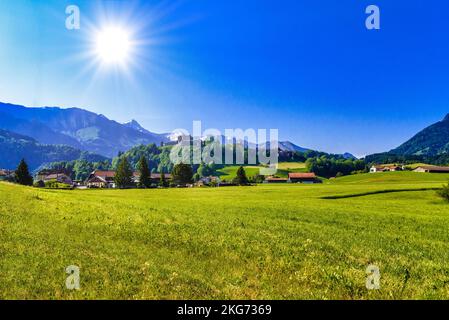 Schloss von Gruyeres mit grünen Wiesen, Haut-Intyamon, Greyerzer, Fribourg, Schweiz Stockfoto