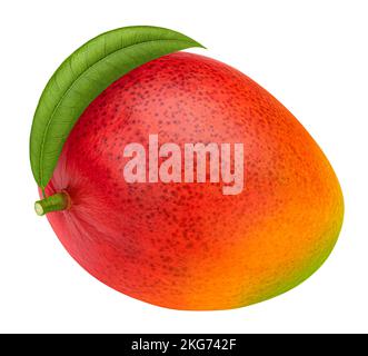 Eine ganze Mangofrucht, isoliert auf weißem Hintergrund Stockfoto