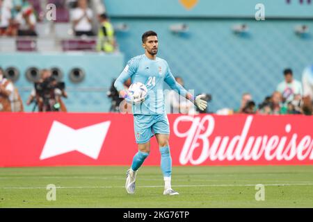 Hossein Hosseini (IRN), 21. NOVEMBER 2022 Fußball / Fußball FIFA