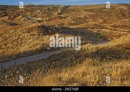 Frankreich, Manche. Biville, das Dünenmassiv unter der untergehenden Sonne Stockfoto