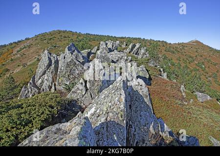 Frankreich, Haute-Loire, Les Estables, Nordgipfel des Mont Mézenc, Felskämme Stockfoto