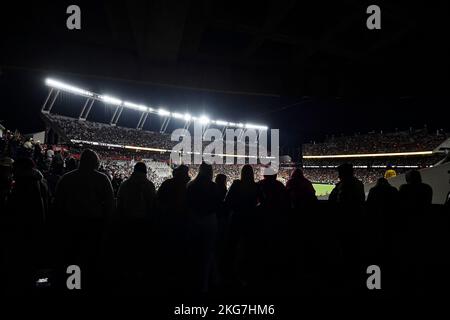 Columbia, SC, USA. 19.. November 2022. Fans sehen sich im Williams-Brice Stadium in Columbia, SC, ein College-Fußballspiel zwischen den Freiwilligen von Tennessee und South Carolina Gamecocks an. Austin McAfee/CSM/Alamy Live News Stockfoto