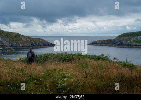Vermessung der Bucht, Sherkin Island, Cork, Irland Stockfoto