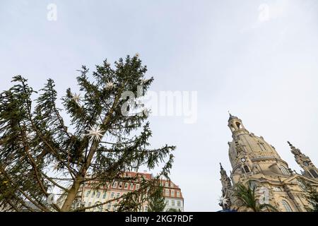 Dresden, Deutschland. 22.. November 2022. Vor der Dresdner Frauenkirche wurden 13 Fichten für den historischen Weihnachtsmarkt errichtet. Ein zentral gelegener Baum verursacht derzeit Spott und Lachen im Internet. Am Dienstag wurde die besonders leichte Fichte bereits repariert. Quelle: Daniel Schäfer/dpa/Alamy Live News Stockfoto