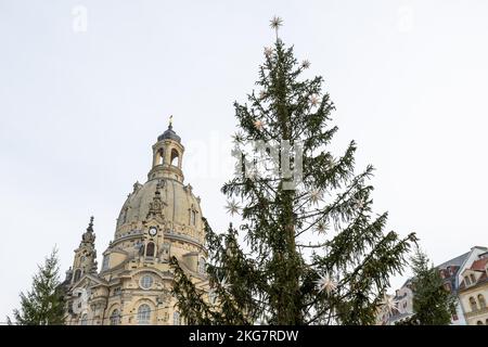 Dresden, Deutschland. 22.. November 2022. Vor der Dresdner Frauenkirche wurden 13 Fichten für den historischen Weihnachtsmarkt errichtet. Ein zentral gelegener Baum verursacht derzeit Spott und Lachen im Internet. Am Dienstag wurde die besonders leichte Fichte bereits repariert. Quelle: Daniel Schäfer/dpa/Alamy Live News Stockfoto