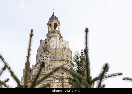 Dresden, Deutschland. 22.. November 2022. Vor der Dresdner Frauenkirche wurden 13 Fichten für den historischen Weihnachtsmarkt errichtet. Ein zentral gelegener Baum verursacht derzeit Spott und Lachen im Internet. Am Dienstag wurde die besonders leichte Fichte bereits repariert. Quelle: Daniel Schäfer/dpa/Alamy Live News Stockfoto