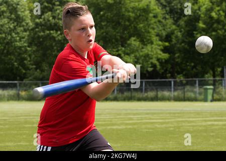 Sekundarschüler spielt Softball auf dem Schulsportplatz. Holland. Vvbvanbree-Fotografie Stockfoto