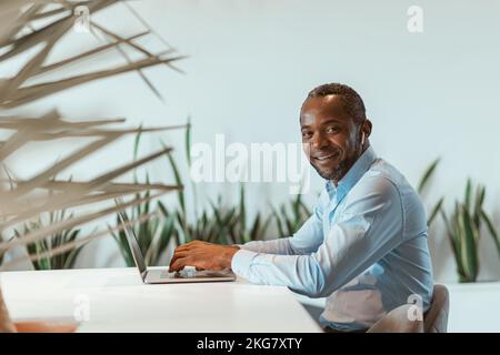 Reifer afrikanischer Geschäftsmann, der an einem Laptop arbeitet, während er in moderner Zusammenarbeit sitzt Stockfoto