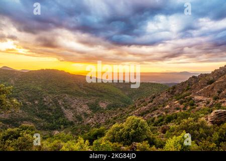 Sonnenuntergang im Massif des Maures, in La Garde-Freinet, in der Provence, in Frankreich, in Europa. Stockfoto