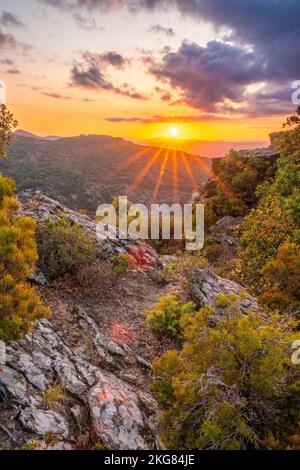 Sonnenuntergang im Massif des Maures, in La Garde-Freinet, in der Provence, in Frankreich, in Europa. Stockfoto