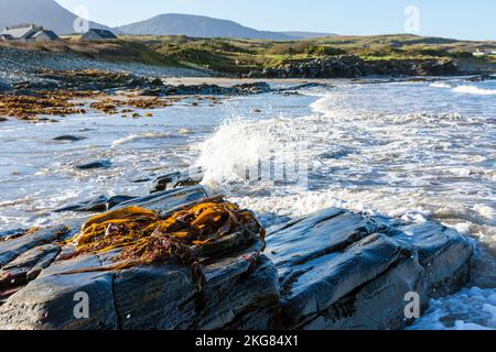 Küstengrundstücke über einem Strand in der Nähe von Ardara, County Donegal, Irland. Auf Irlands Wild Atlantic Way an der Nordwestküste. Stockfoto