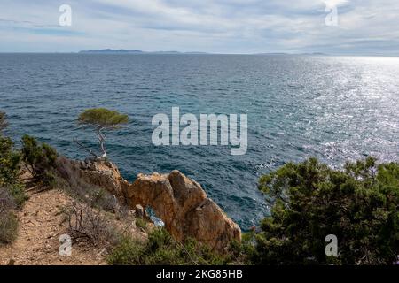 Pointe de l'Estagnol et îlot de l'Estagnol fotografierten den Küstenweg mit Kiefern. Stockfoto