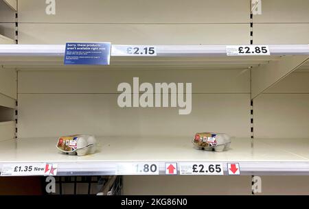 Leeren Sie die Eierregale in einem Tesco-Geschäft in Ashford, Kent. Tesco hat sich anderen Supermärkten angeschlossen, um die Anzahl der Kartons mit Eiern zu begrenzen, die Kunden kaufen können, da die Auswirkungen der steigenden Kosten und der Vogelgrippe weiterhin ihren Tribut fordern. Anfang dieses Monats haben Asda und Lidl Beschränkungen für Eierkäufe in einigen ihrer Läden bekannt gegeben. Bilddatum: Dienstag, 22. November 2022. Stockfoto