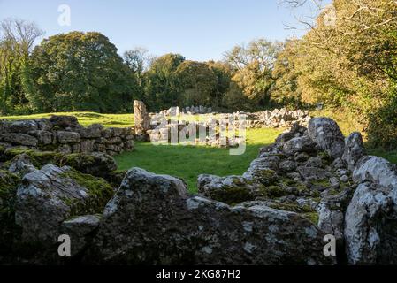 DIN Lligwy Steinsiedlung in der Nähe von Moelfre, Anglesey, Nordwales. Stockfoto