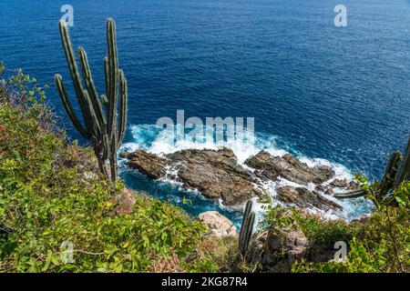 Orgelpfeifenkaktus auf den Klippen mit Blick auf die zerklüftete Küste des Huatulco-Nationalparks an der Pazifikküste von Oaxaca, Mexiko. Eine UNESCO-Biosphäre Stockfoto