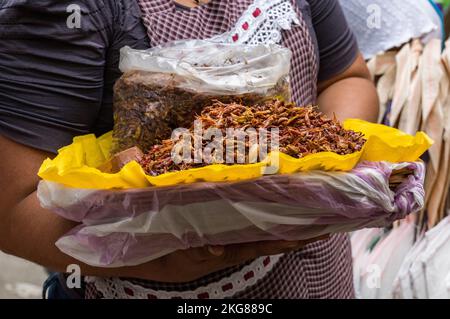 Eine Frau verkauft Chapullines oder geröstete Heuschrecken auf dem Markt in Zaachila, Mexiko. Chapulines sind Grashüpfer, die auf einem comal-Grill getoastet werden Stockfoto