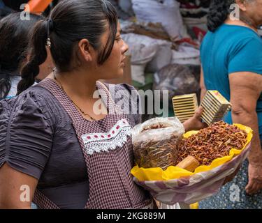 Eine Frau verkauft Chapullines oder geröstete Heuschrecken auf dem Markt in Zaachila, Mexiko. Chapulines sind Grashüpfer, die auf einem comal-Grill getoastet werden Stockfoto