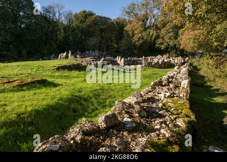 DIN Lligwy Steinsiedlung in der Nähe von Moelfre, Anglesey, Nordwales. Stockfoto