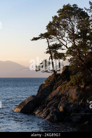 Bäume am felsigen Ufer der Juan de Fuca Strait im East Sooke Regional Park in British Columbia, Kanada. Stockfoto